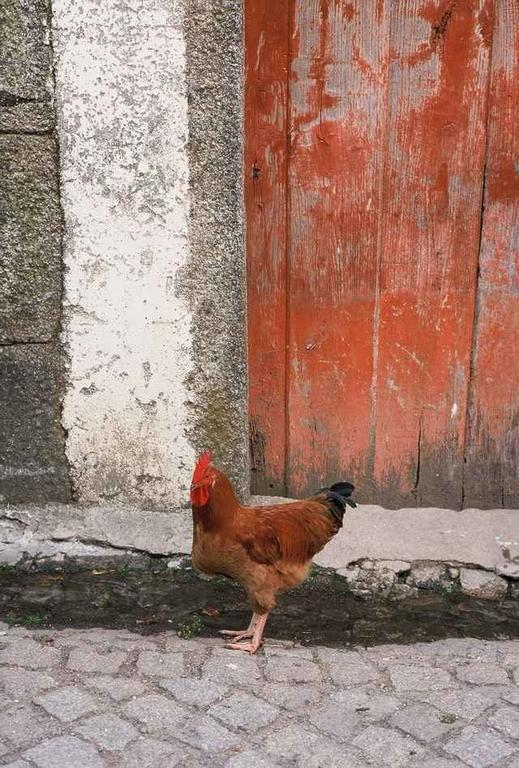 A Lagosta Perdida Montezinho Eksteriør billede