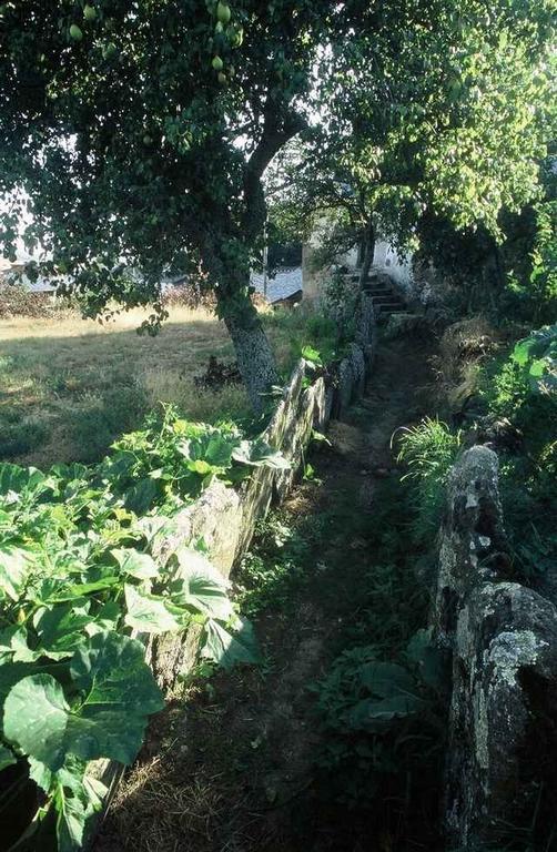 A Lagosta Perdida Montezinho Eksteriør billede